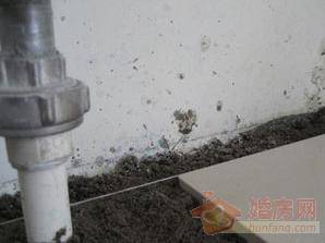 点击图片可在新窗口打开