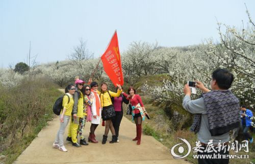游客花海中合影留恋