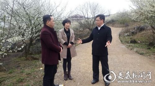 县委书记胡忠威现场指示修宽公路