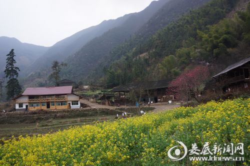 美丽天门的春天