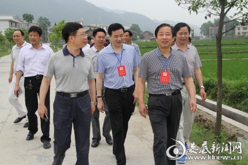 政协委员调研早稻生产情况