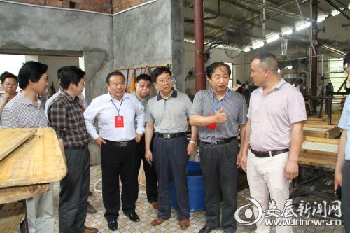 政协委员深入新化县王爷山食品有限责任公司生产车间调研