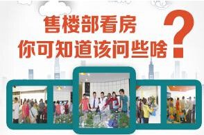在售楼部看房 你可知道该问些啥?
