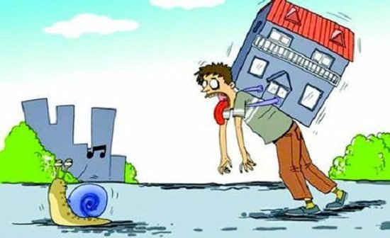 社保断缴错过购房?其实这些常识你都搞错了
