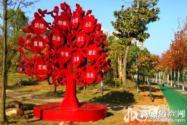 孙水公园法梧大道旁,一棵核心价值观之树